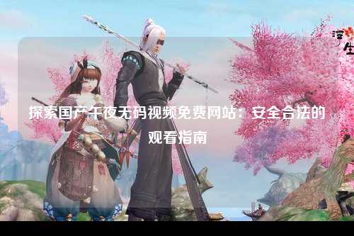 探索国产午夜无码视频免费网站：安全合法的观看指南