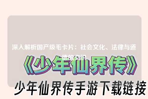深入解析国产级毛卡片：社会文化、法律与道德的交织