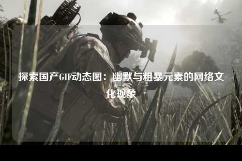探索国产GIF动态图：幽默与粗暴元素的网络文化现象